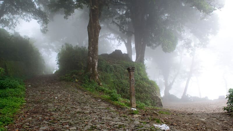 Dow Hill, West Bengal, horror, blog, paranormal, investigator, dark history, abandoned school, mysteries, forest, haunting, spirits.